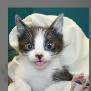 Meet your Posher, Tina